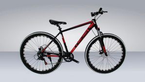 Велосипед  BR 29 Рама: Полированные швы 